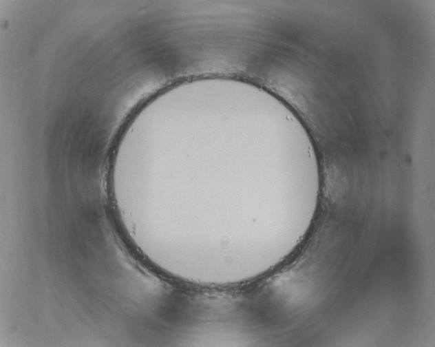 X0000062910632200602101833