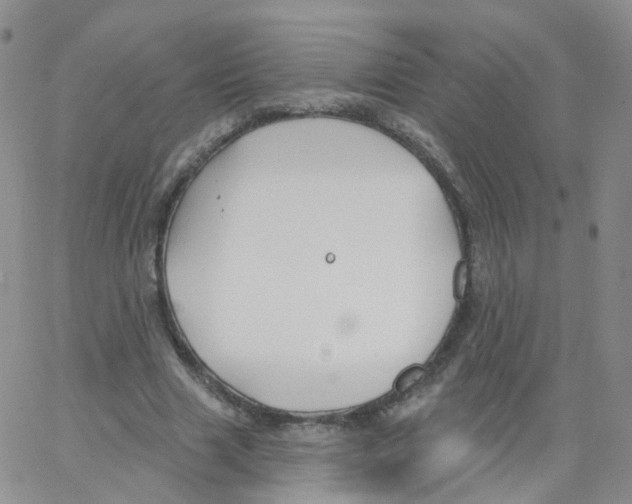 X0000062910633200602101833