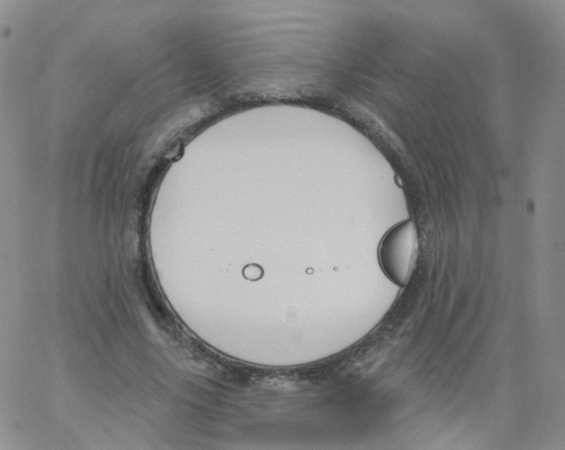 X0000062910635200602101833