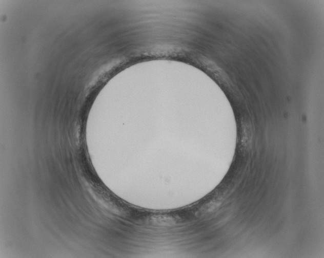 X0000062910636200602101833