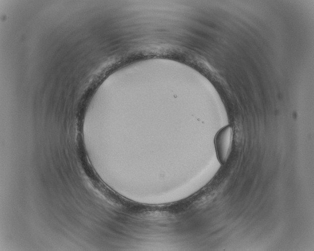 X0000062910637200602101833