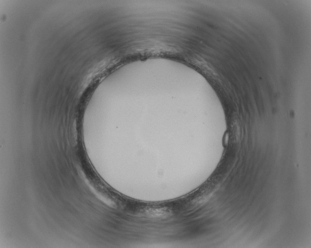 X0000062910638200602101833