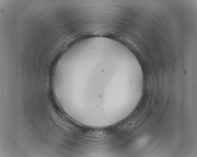 X0000062910639200602101833