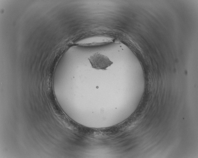 X0000062910641200602101833