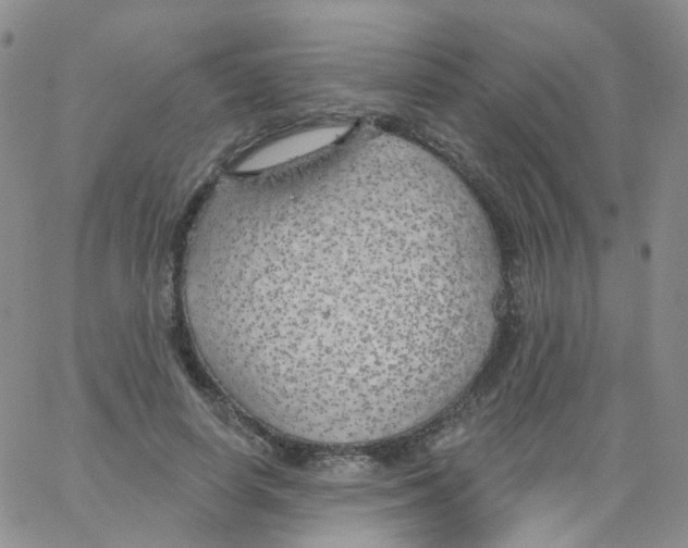 X0000062910642200602101833