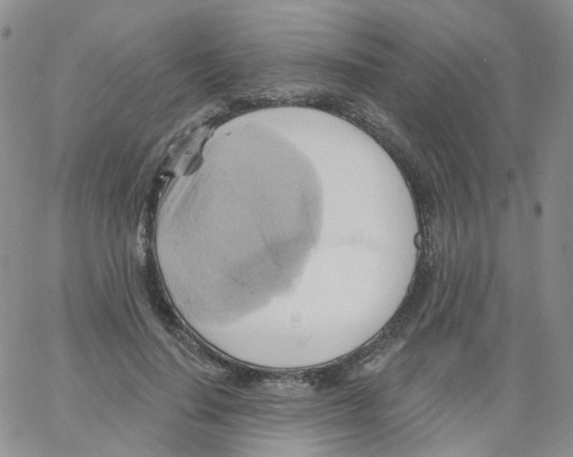 X0000062910644200602101833