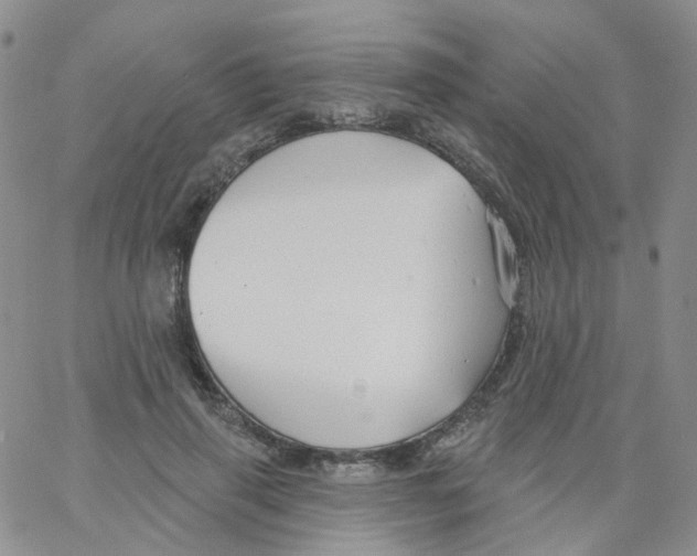 X0000062910645200602101833