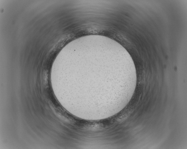 X0000062910646200602101833