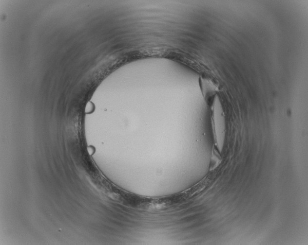 X0000062910647200602101833