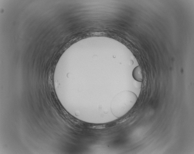 X0000062910651200602101833