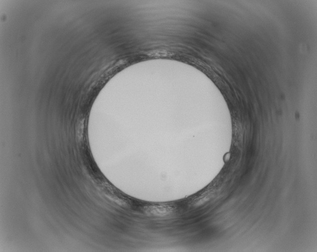 X0000062910652200602101833