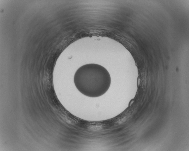 X0000062910653200602101833