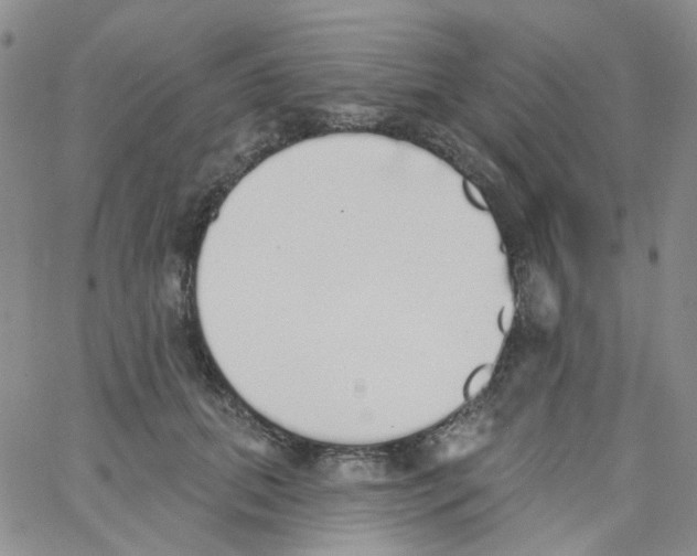 X0000062910655200602101833