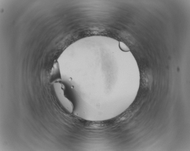 X0000062910657200602101833