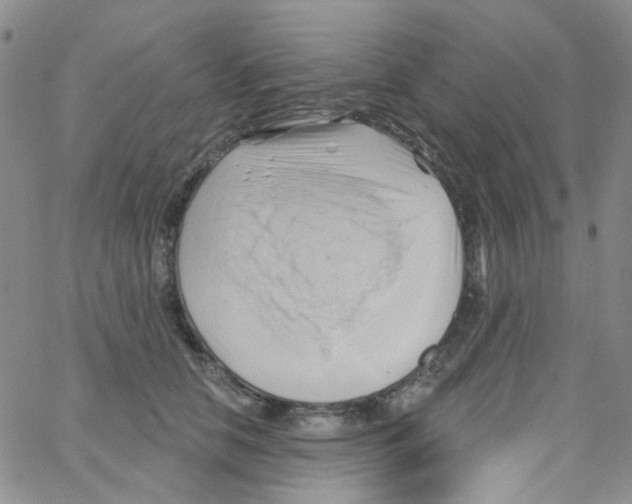 X0000062910658200602101833