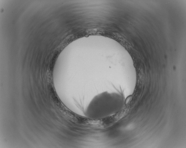 X0000062910659200602101833