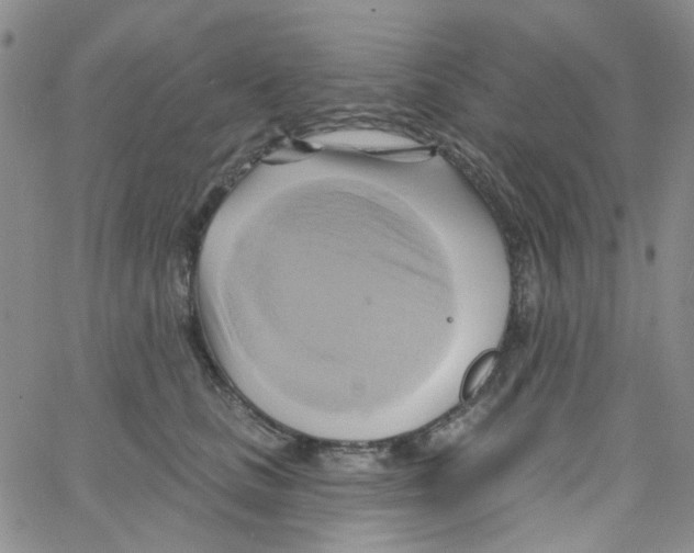 X0000062910661200602101833