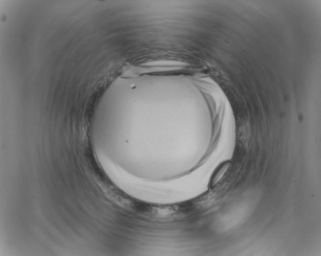 X0000062910662200602101833