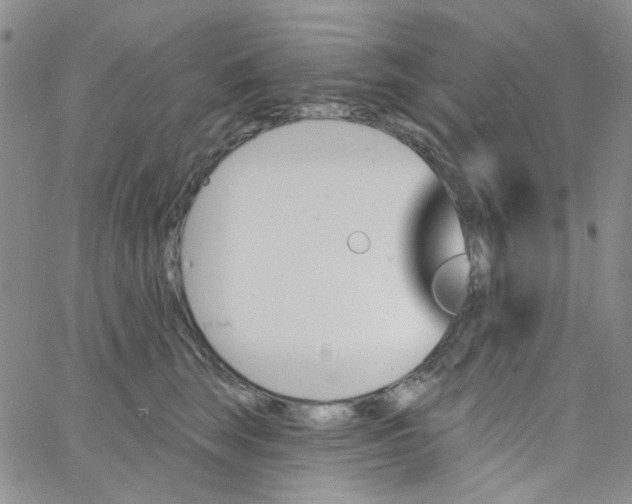 X0000062910663200602101833