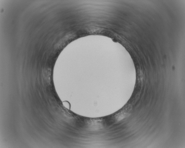 X0000062910664200602101833