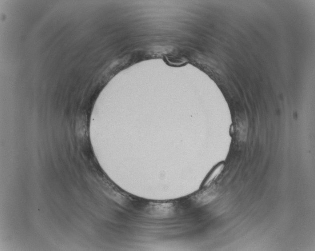 X0000062910665200602101833