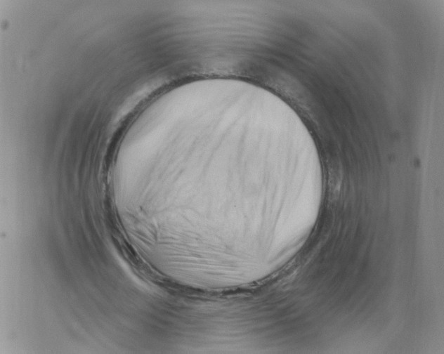 X0000062910674200602101833