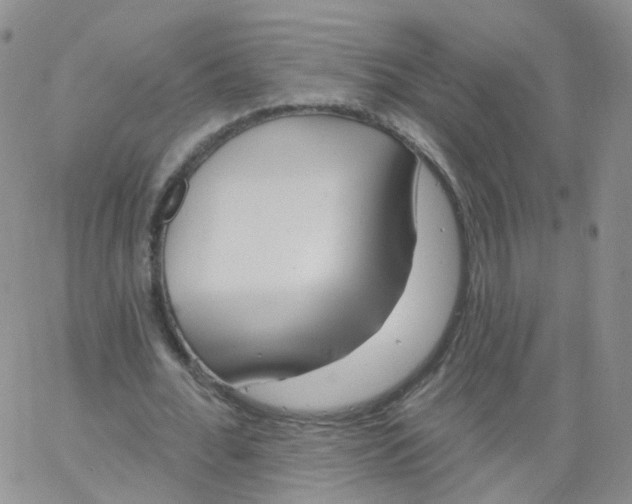 X0000062910676200602101832