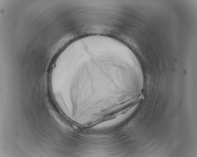 X0000062910678200602101832