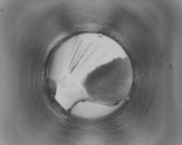 X0000062910679200602101832