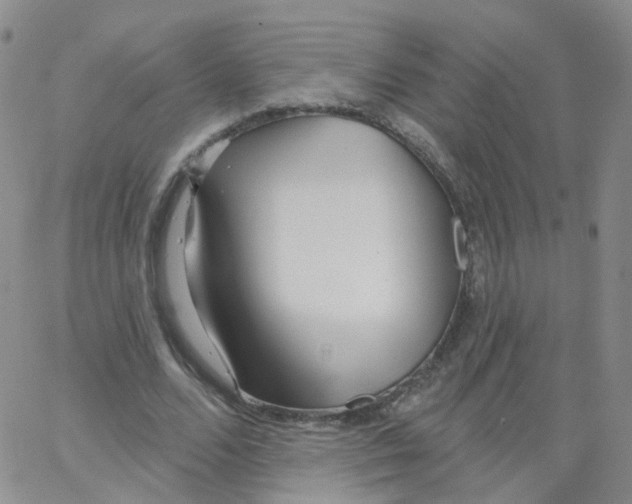 X0000062910680200602101832