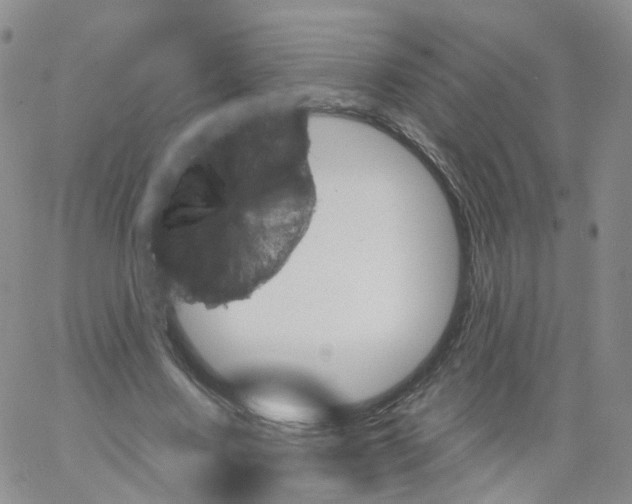 X0000062910683200602101832