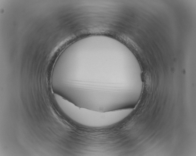 X0000062910684200602101832