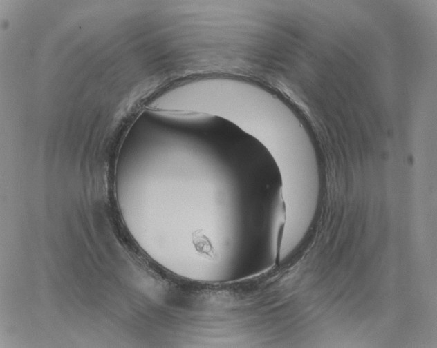 X0000062910685200602101832