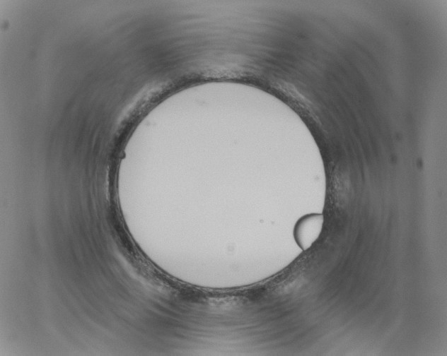 X0000062910686200602101832