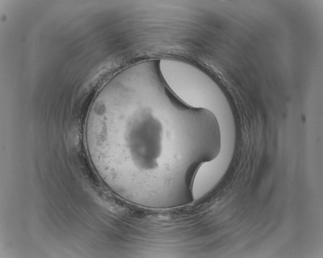 X0000062910687200602101832