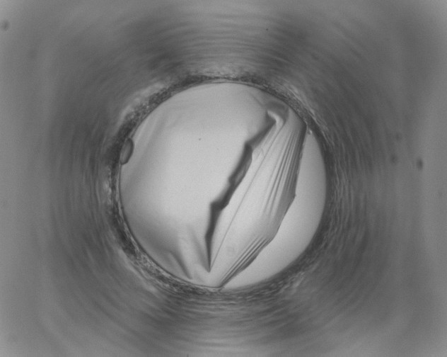 X0000062910688200602101832