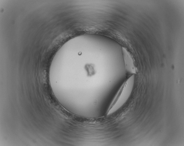 X0000062910689200602101832