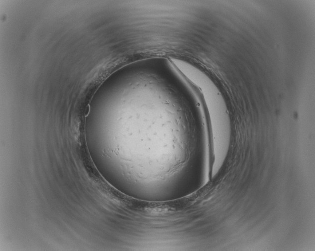 X0000062910693200602101832