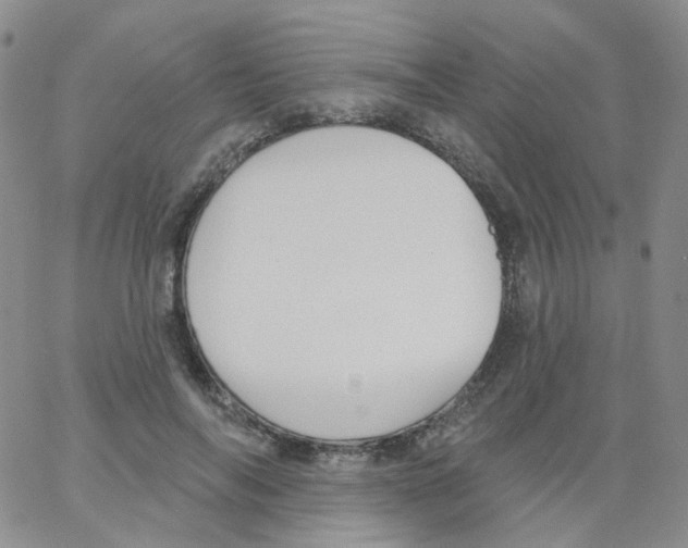 X0000062910694200602101832