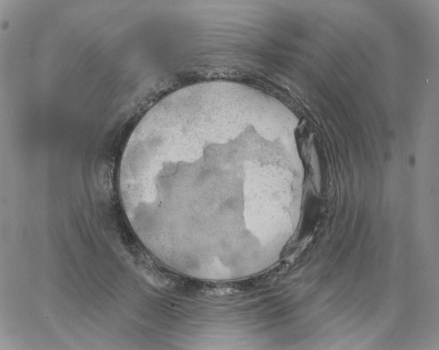 X0000062910695200602101832