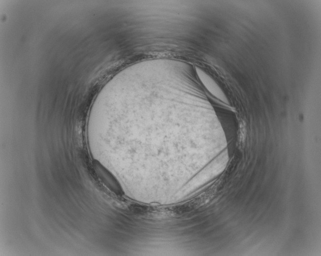 X0000062910696200602101832