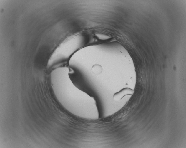 X0000062910697200602101832