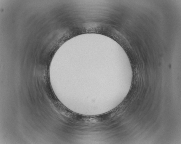 X0000062910698200602101832