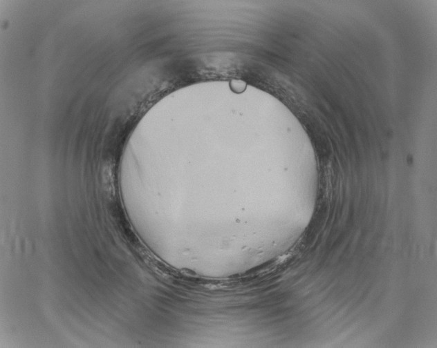 X0000062910699200602101832