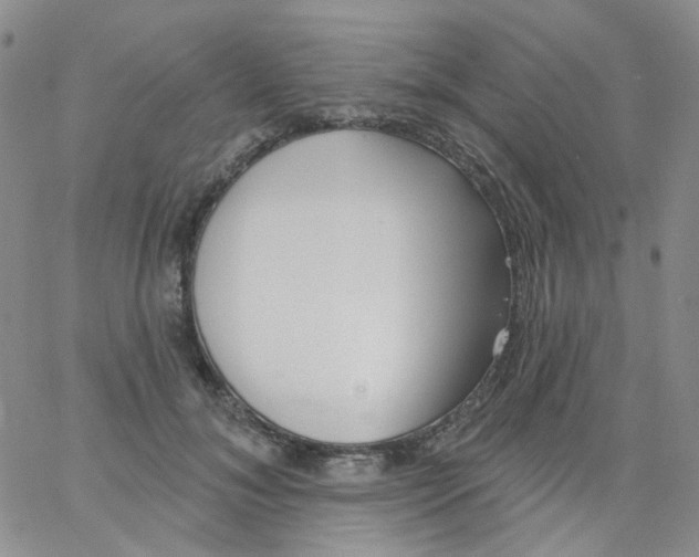 X0000062910700200602101832