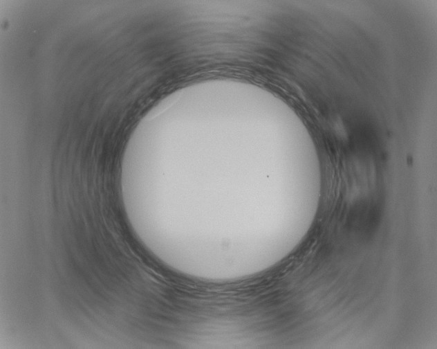 X0000062910701200602101832