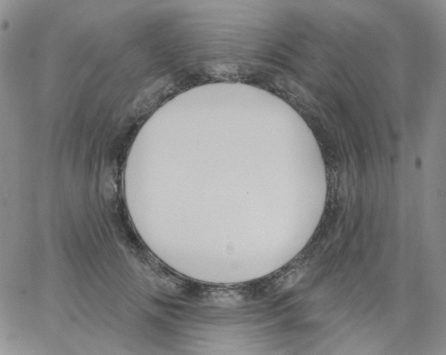 X0000062910702200602101832