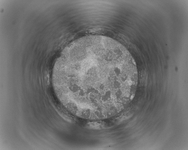 X0000062910703200602101832