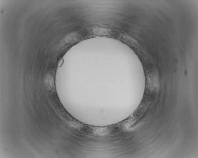 X0000062910705200602101832