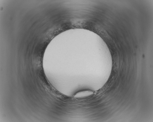 X0000062910706200602101832